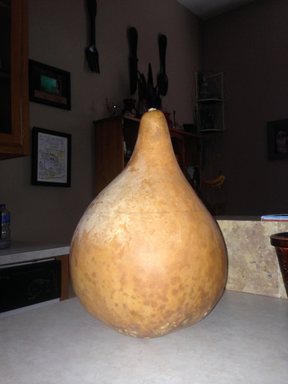 Starting gourd after external scrub and prep